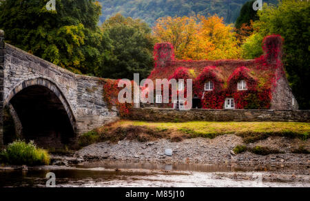 Alte Steinbogenbrücke und Cottage im Herbst Farben bei Llanwrst, Wales Stockfoto