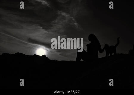 Silhouette der schönen Frau whit lockiges Haar und Ihre Katze an der Spitze der Klippe whit Vollmond Hintergrund sitzen Stockfoto