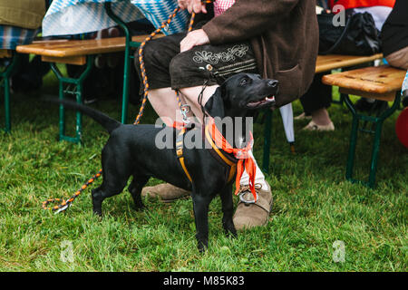 Ein Hund neben dem Eigentümer zu einem traditionellen Festival in Deutschland. Die Freundschaft zwischen Mensch und Tier. Für immer zusammen. Stockfoto