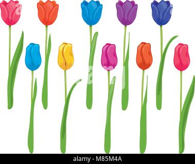 Vektor einrichten von bunten tulip Zeichnungen auf weißem Hintergrund, schöne Tulpen für dekorative Gestaltung. Flache grafische Stil Stock Vektor