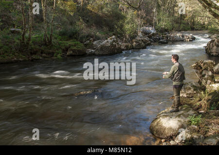 Sport Fischer in Fluss, Galizien, Spanien. Stockfoto