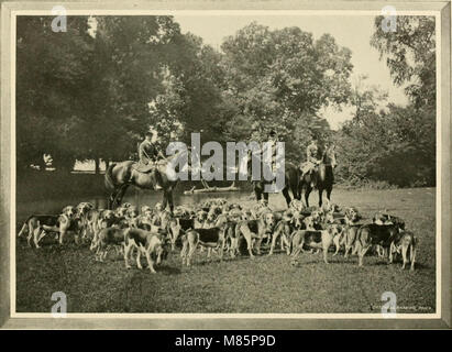 Die ost- und die schwarze Brandywine.. (1912) (14586938419) Stockfoto