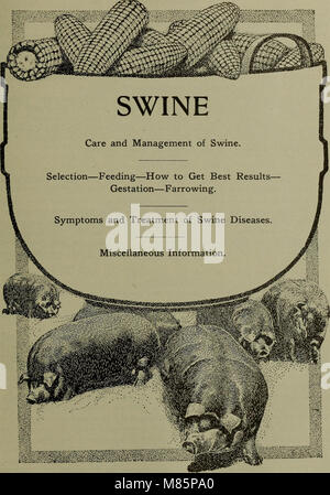 Dr. David Roberts' 'Practical Home Veterinarian' (1912) ist ein Leitfaden für die Pflege von Haustieren. Es bietet Beratung zur Behandlung von Krankheiten, Verletzungen und gesundheitlichen Problemen bei Haustieren mit Schwerpunkt auf Hausmitteln und vorbeugender Versorgung. Stockfoto