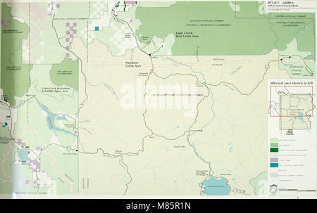 Entwurf einer Umweltverträglichkeitsstudie für die ressortübergreifende Bison management plan für den Zustand von Montana und der Yellowstone National Park (1998) (20808370190) Stockfoto