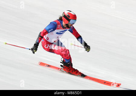 Pyeongchang, Südkorea. 14 Mär, 2018. 14 März 2018, Südkorea, Pyeongchang: Paralympics, Riesenslalom, stehend, Jeongseon Alpine Center. Santiago Vega aus Chile. Foto: Karl-Josef Hildenbrand/dpa/Alamy leben Nachrichten Stockfoto