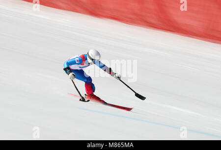 Pyeongchang, Südkorea. 14 Mär, 2018. 14 März 2018, Südkorea, Pyeongchang: Paralympics, Riesenslalom, stehend, Jeongseon Alpine Center. Hilmar Orvarsson aus Island. Foto: Karl-Josef Hildenbrand/dpa/Alamy leben Nachrichten Stockfoto