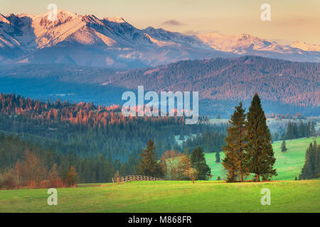 Wunderschöne grüne Wiese am Abend. Tatra Berge im Sonnenuntergang. Schneebedeckten Gipfeln durch die Abendsonne beleuchtet. Sommer Abend Landschaft. Stockfoto