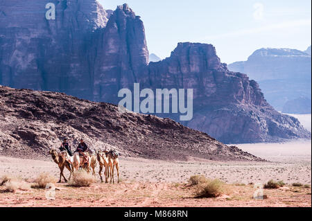 Bédouins mit kamelen vor der beeindruckenden Blue Mountain Ridge in Wadi Rum, Jordanien. Stockfoto