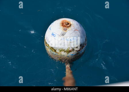 Das Meer, die Vögel und die Menschen in der großen Stadt von BVi Stockfoto