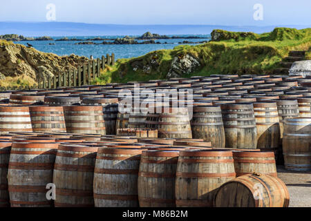 Reihen von Islay Whisky Fässern, gestapelt am Wasser in einer Scotch Distillery auf der Insel Islay, Schottland, Großbritannien Stockfoto