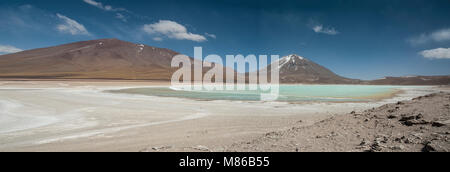 Laguna Verde ist ein hochkonzentrierter Salt Lake in der Fauna der Anden Eduardo Avaroa National Park in der Nähe der Licancabur Vulkan, Sur Lipez - Bolivien entfernt Stockfoto