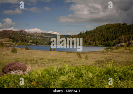 Llyn Mymbyr durch Bäume und Hügel an einem sonnigen Tag, Snowdonia umgeben, North Wales Stockfoto