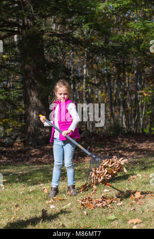 Sechs Jahre altes Mädchen helfen Rake Blätter an einem kühlen Herbsttag in Maine Stockfoto