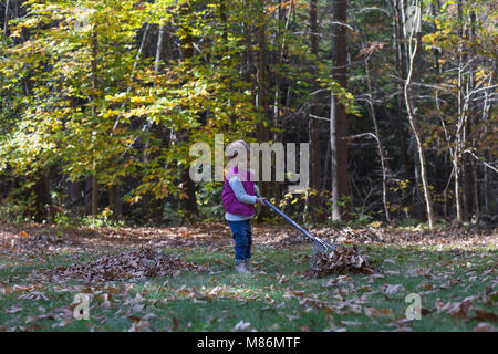 Kleinkind Mädchen lernen Blätter an einem kühlen Herbsttag in Maine zu rechen Stockfoto