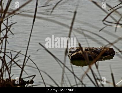 Felsen und Wasser noch Leben Abstract Kamera Kunst Stockfoto