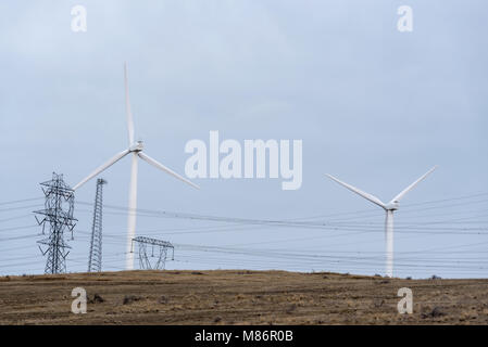 Kittitas Tal Windpark und Hochspannungsleitungen im Zentrum von Washington. Stockfoto