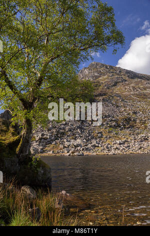 Pen Jahr Ole Wen und Llyn Ogwen, Snowdonia, Wales Stockfoto