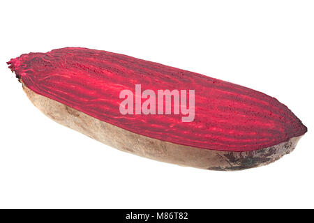 Lange Rote Beete Gemüse closeup isoliert auf weißem Stockfoto