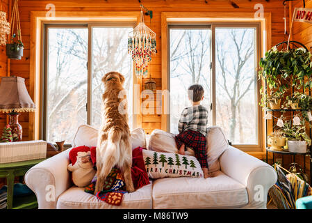 Junge und Golden Retriever Hund auf der Couch aus dem Fenster Stockfoto