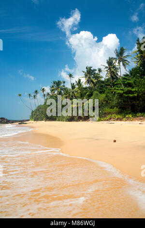 Tropischer Strand, Wellamadama, Matara, Südprovinz, Sri Lanka Stockfoto