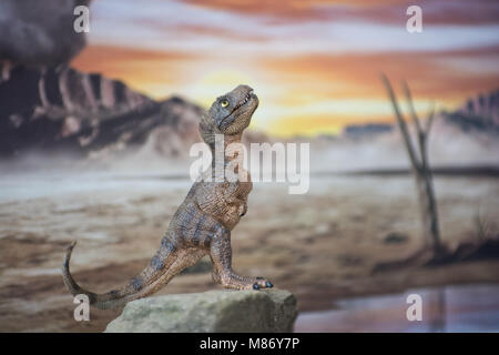 Baby Tyrannosaurus rex in Jurassic Welt Stockfoto