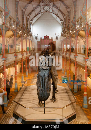 "Ippy' der Diplodocus in Dorchester County Museum. Stockfoto