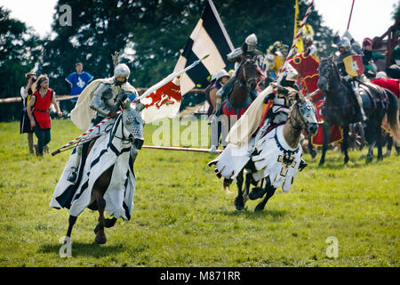 Teutonische Ritter zu Pferd, 601Th Jahrestag der Schlacht von Grunwald 1410. 4000 Reenactors, 1200 Ritter, in der Nähe von 20 Tausende von Zuschauern Stockfoto