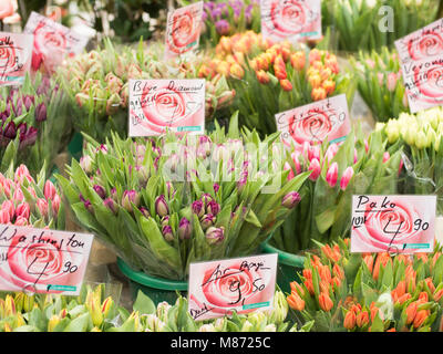 Schöne Tulpen sind im Store verkauft Stockfoto