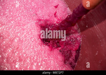 Traubensaft rot von zerquetschten Trauben für den Wein in ein Faß, Toskana, Italien Stockfoto