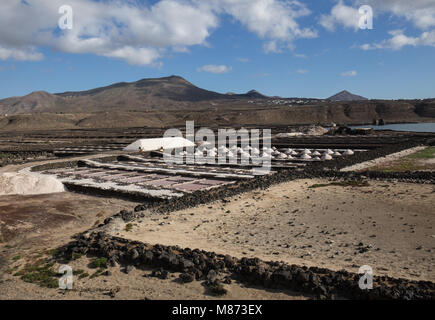 Meersalz Produktion auf Lanzarote, 'Las Salinas de Janubio" Stockfoto