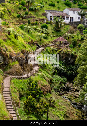 Ribeira dos Caldeiroes Naturpark, Nordeste, Sao Miguel, Azoren, Portugal Stockfoto