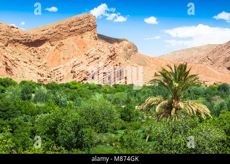 Roten Felsen Kalkstein Finger im Dades Gorgem Marokko, Afrika Stockfoto