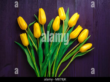 Top Down Sicht auf ein Paar Gelbe Tulpen auf lila Holz- Oberfläche Stockfoto