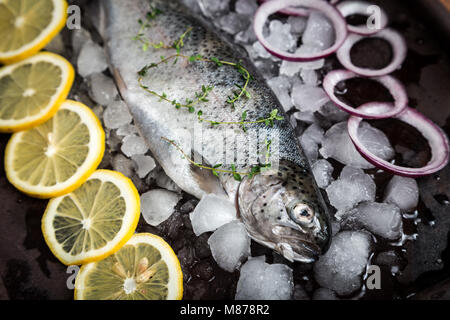 Frischen Fisch. Forellen mit Zitronensaft und Gewürzen auf dunklem Hintergrund. Kochen Fisch mit Kräutern Thymian Stockfoto