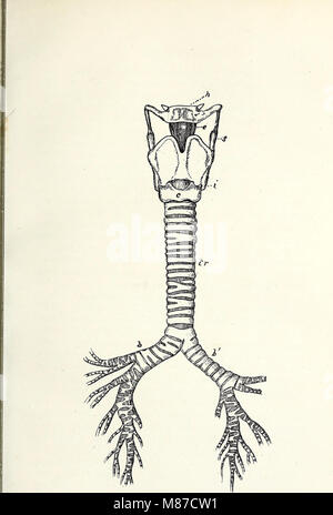 Dieses Handbuch für 1888 bietet Schulungsrichtlinien für Lehrer von gehörlosen Schülern. Es umfasst Unterrichtsmethoden, Kommunikationstechniken und Strategien für den Sprach- und Alphabetisierungstraining von Kindern mit Hörbehinderungen. Stockfoto