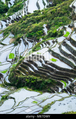 Erstaunlich abstrakte Textur von reisterrassen Felder mit Sky bunte Spiegelbild im Wasser. Ifugao Provinz. Banaue, Philippinen UNESCO Weltkulturerbe Stockfoto