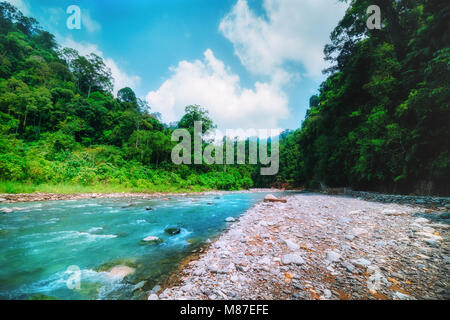 Schnelle mountain river bei Banken mit wilden Regenwald bewachsen. Frische aktuelle mit felsigen Bett läuft unter den dichten Dschungel an einem sonnigen Tag. Nord Sumatra, In Stockfoto