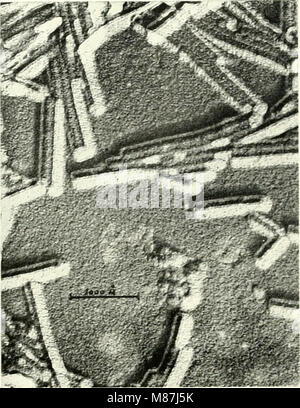 Die Arbeiten der Stockholmer Konferenz für Elektronenmikroskopie von 1956 erörtern Fortschritte auf dem Gebiet der Elektronenmikroskopie und heben deren Anwendungen in den biologischen und materiellen Wissenschaften hervor. Stockfoto