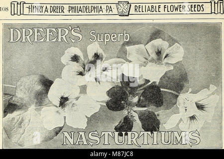 Dreer's 1838 1908 Garten Buch (1908) (20380754753) Stockfoto