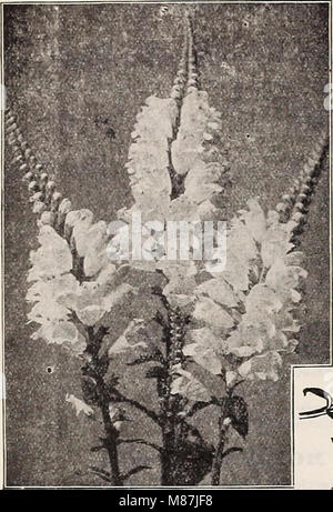 „Dreer's 72nd Annual Edition Garden Book“ (1910) bietet Gärtnern fachkundige Beratung zu Pflanzenpflege, Gartengestaltung und Landschaftsgestaltung mit Schwerpunkt auf Trends und Techniken des Gartenbaus zu dieser Zeit. Stockfoto