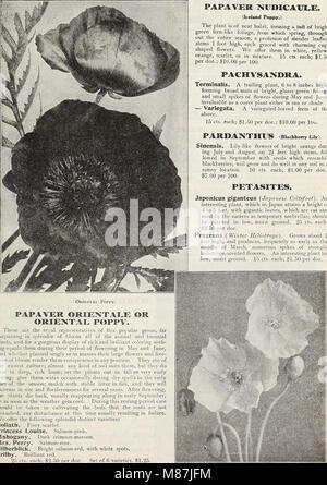 Die 72. Ausgabe von Dreers jährlichem Gartenbuch (1910) bietet detaillierte Ratschläge zu Gartentechniken, Pflanzenpflege und Landschaftsgestaltung mit Empfehlungen für eine breite Palette von Pflanzen, die für verschiedene Klimazonen geeignet sind. Stockfoto