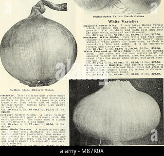 Großhandel Dreer's Markt Gärtner Preis - Liste - 1929 Zuverlässige gemüsesamen, Blumensamen, Garten Voraussetzungen, Arbeitsgeräte, Düngemittel, Insektizide usw. (1929) (20856061828) Stockfoto