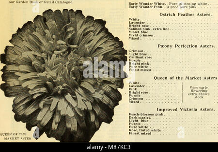 Dreer der Großhandel Preisliste - Samen, Pflanzen, Lampen, etc. (1913) (21067711121) Stockfoto