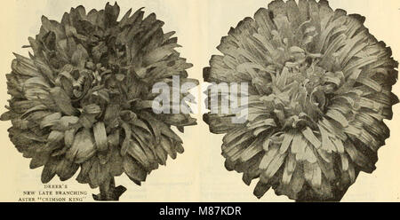 Dreer der Großhandelspreis Liste der Samen Pflanzen und Blumenzwiebeln für Floristen - Düngemittel, Insektizide, Werkzeuge und Verbrauchsmaterialien (1912) (21049184182) Stockfoto