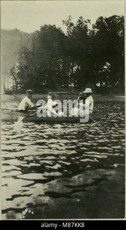 Ducking Tage - Erzählungen der Entenjagd, Studien der Wildvogel leben und Erinnerungen an berühmte Sportschützen auf das Marschland und an der Traps (1919) (20925814089) Stockfoto