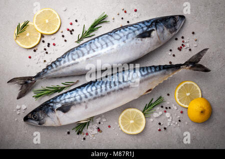 Frischen, rohen Fisch. Makrele mit Salz, Zitrone und Gewürzen auf grauem Hintergrund. Kochen Fisch mit Kräutern. Ansicht von oben Stockfoto