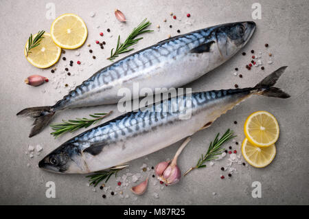 Frischen, rohen Fisch. Makrele mit Salz, Zitrone und Gewürzen auf grauem Hintergrund. Kochen Fisch mit Kräutern. Ansicht von oben Stockfoto