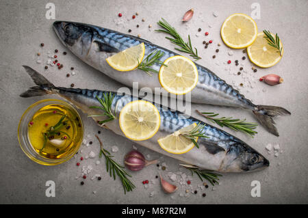 Frischen, rohen Fisch. Makrele mit Salz, Zitrone und Gewürzen auf grauem Hintergrund. Kochen Fisch mit Kräutern. Ansicht von oben Stockfoto