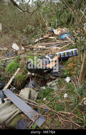 Illegal fliegen gespitzt Müll im Gebüsch und Unterholz gestreut. Stockfoto