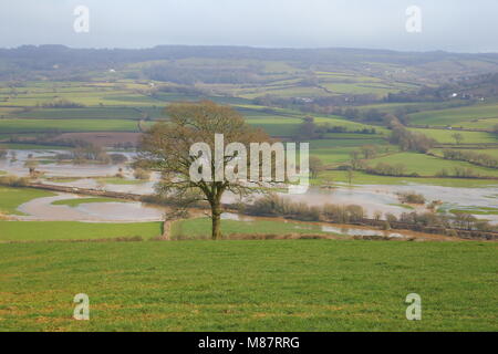 Überflutet Ax Tal in East Devon nach dem Sturm Stockfoto